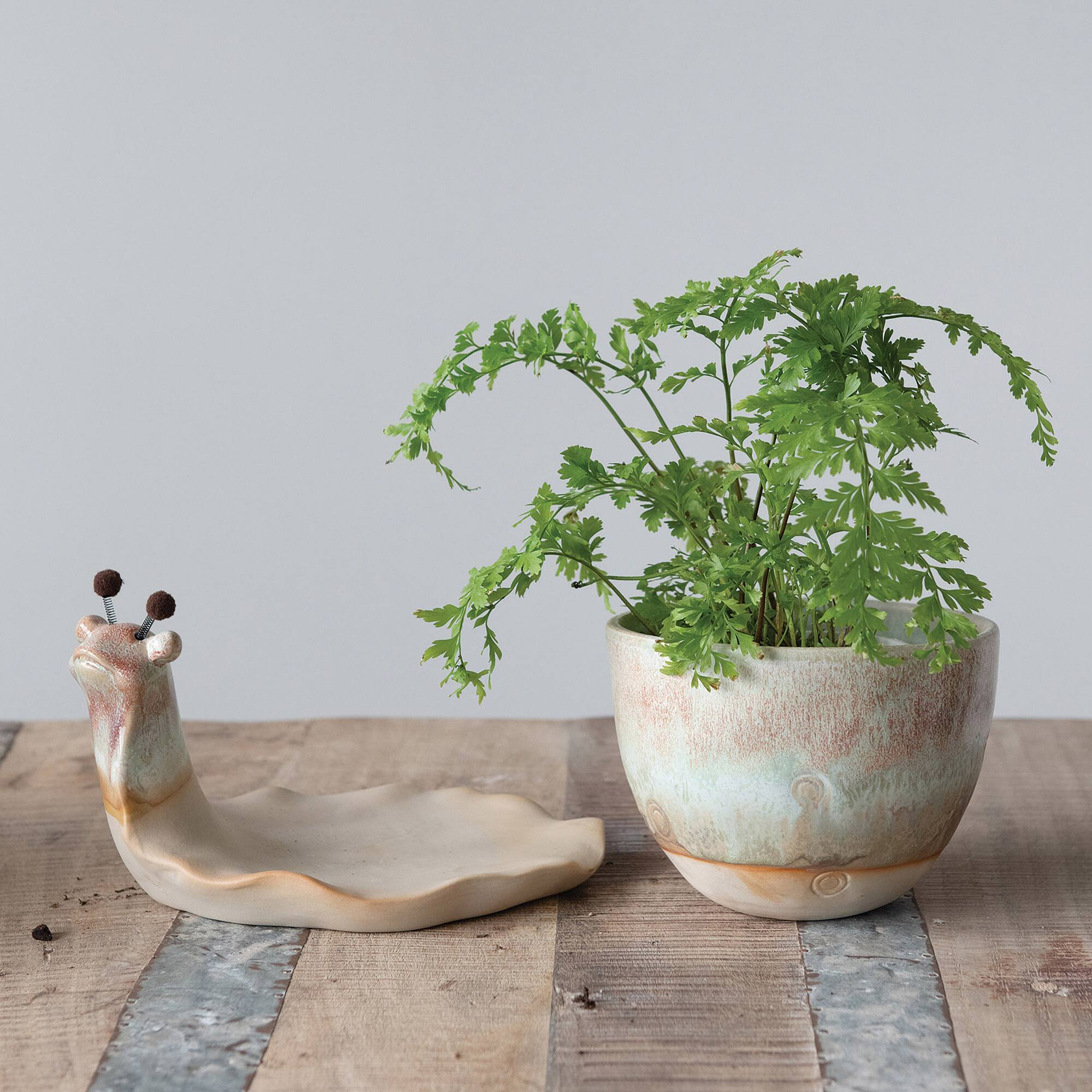 Hello Honey® Stoneware Snail Planter Set